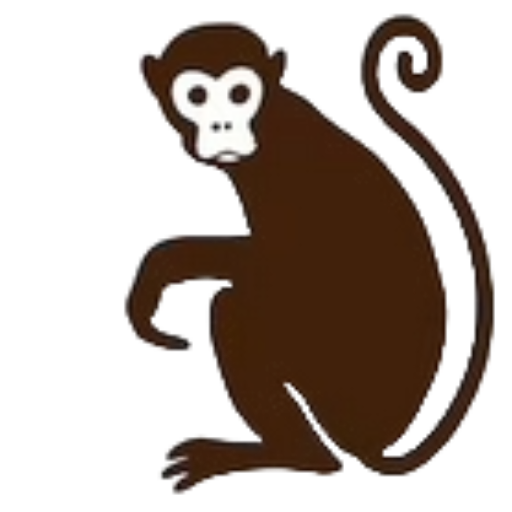 Cheap Pet Monkeys USA